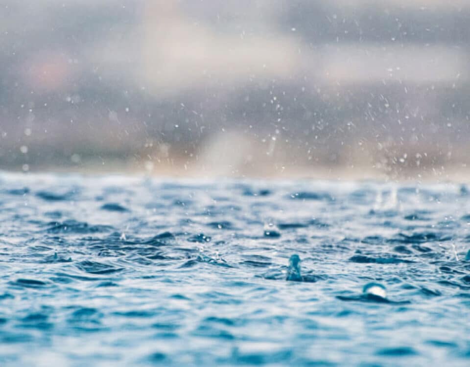 w=1000,h=800,fit=crop,format=auto